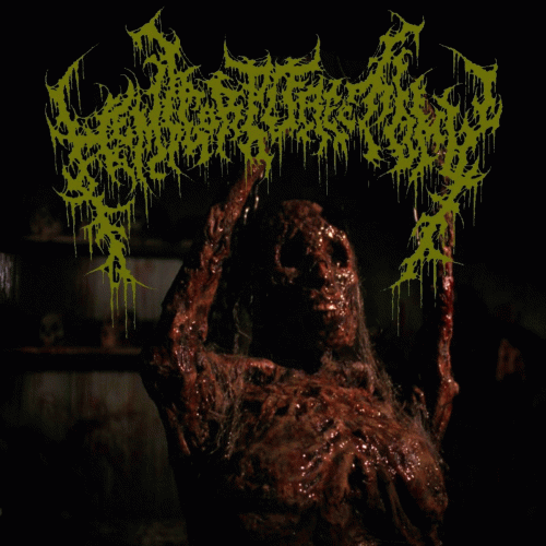 Violence in a Damp Rotting Basement